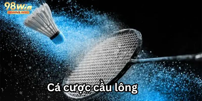 Cá cược cầu lông đơn giản thắng chắc