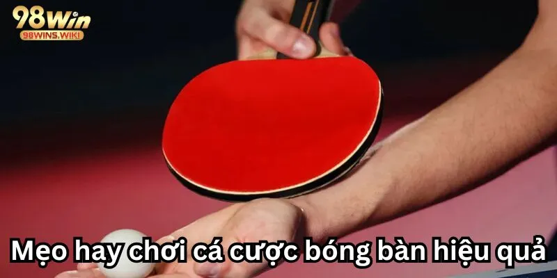 Cách chơi bóng bàn đơn giản