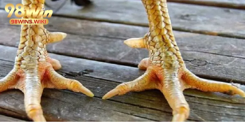 Cách phân biệt loại vảy tiêu chuẩn