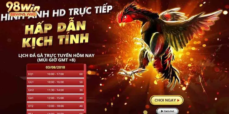 Giao diện cá cược đá gà hiện đại tại 98win